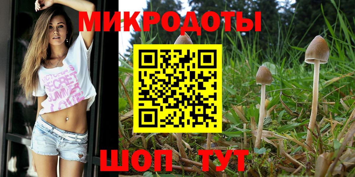 Егорьевск  Галлюциногенные грибы мухоморы  купить   Псилоцибиновые грибы Psilocybe  Вход с VPN 