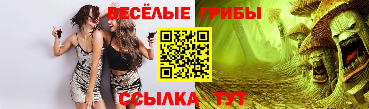 Псилоцибиновые грибы мухоморы Егорьевск